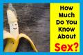 How Much Do You Know About Sex?